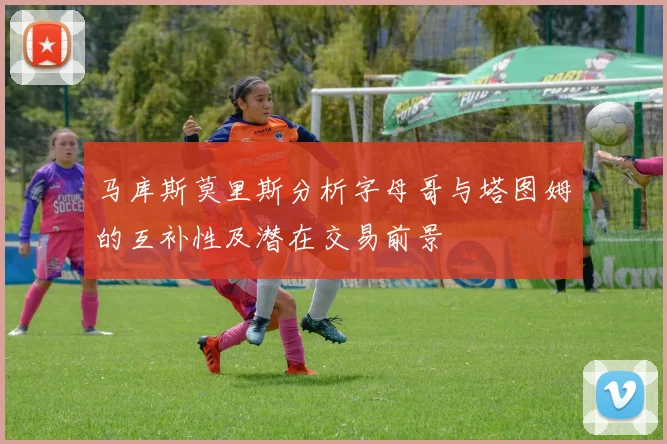马库斯莫里斯分析字母哥与塔图姆的互补性及潜在交易前景