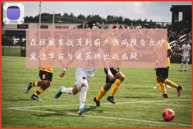 森林狼客战马刺前夕伤病报告出炉爱德华兹与道苏姆出战成疑