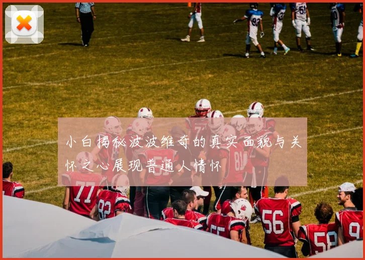 小白揭秘波波维奇的真实面貌与关怀之心展现普通人情怀